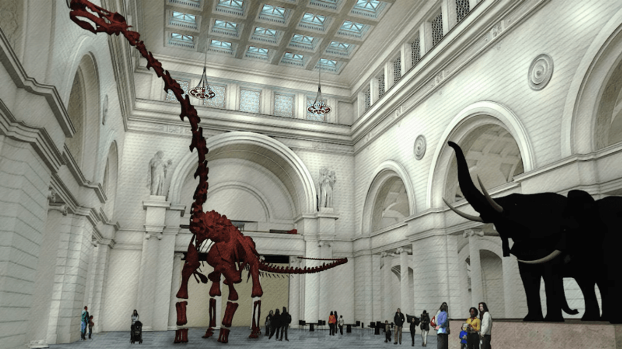 Field Museum