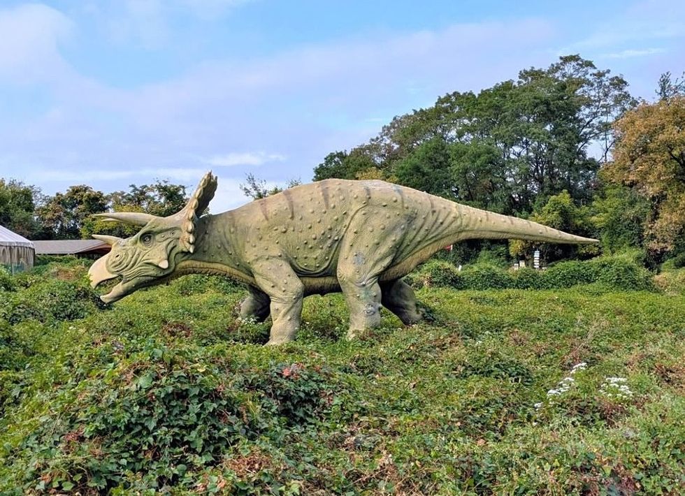 field station dinosaurs sale