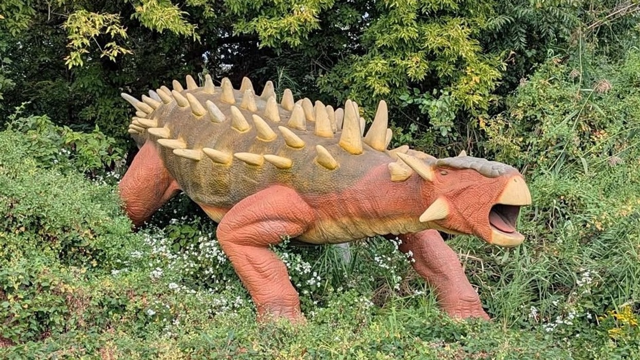 field station dinosaurs sale