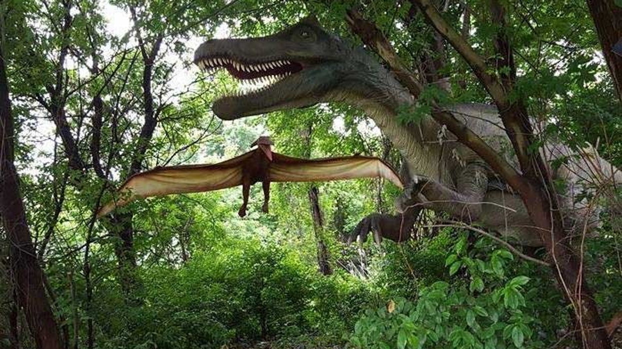Field Station Dinosaurs to open in Kansas