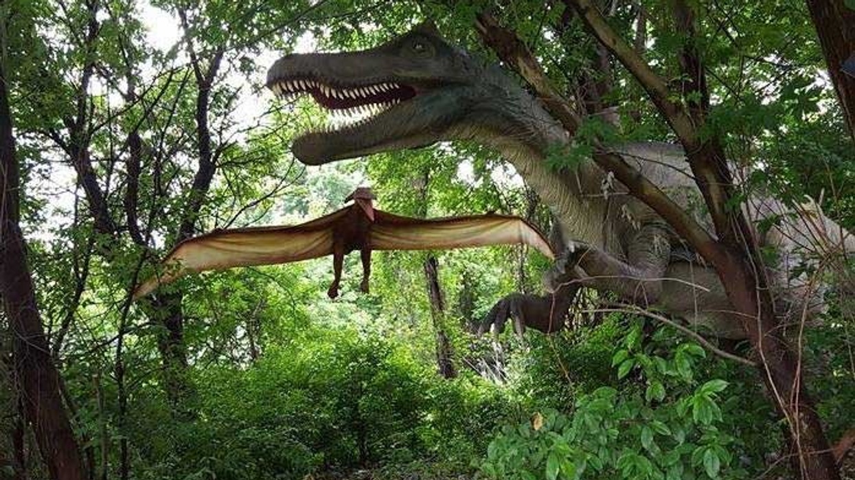 Field Station Dinosaurs to open in Kansas