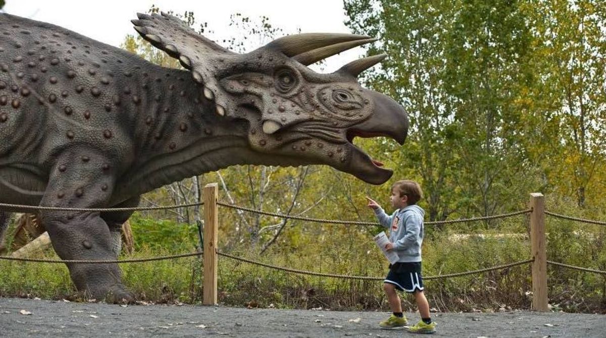 field-station-dinosaurs-trieceratops-plus-boy