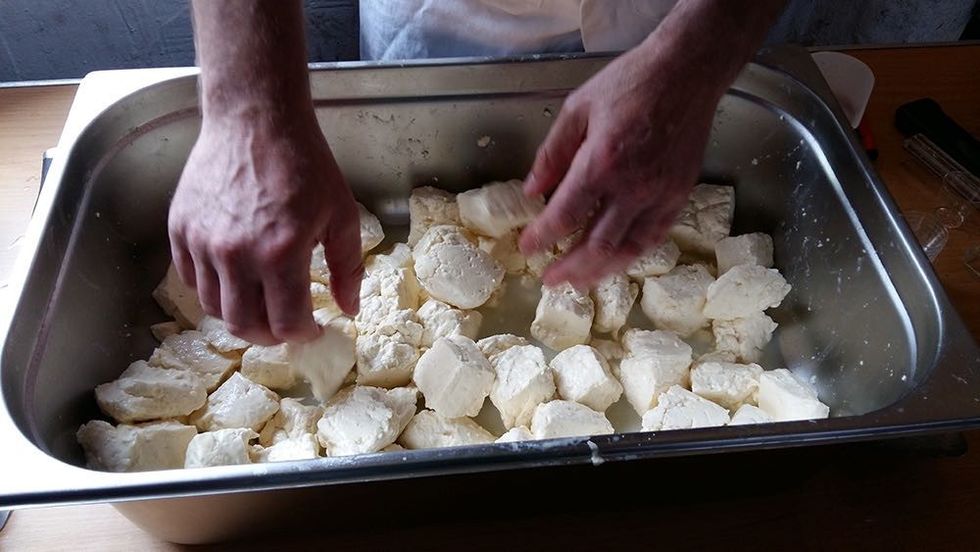 field to fork tatton park cheese making