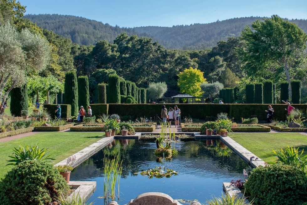 Filoli-Summer-Nights-pond
