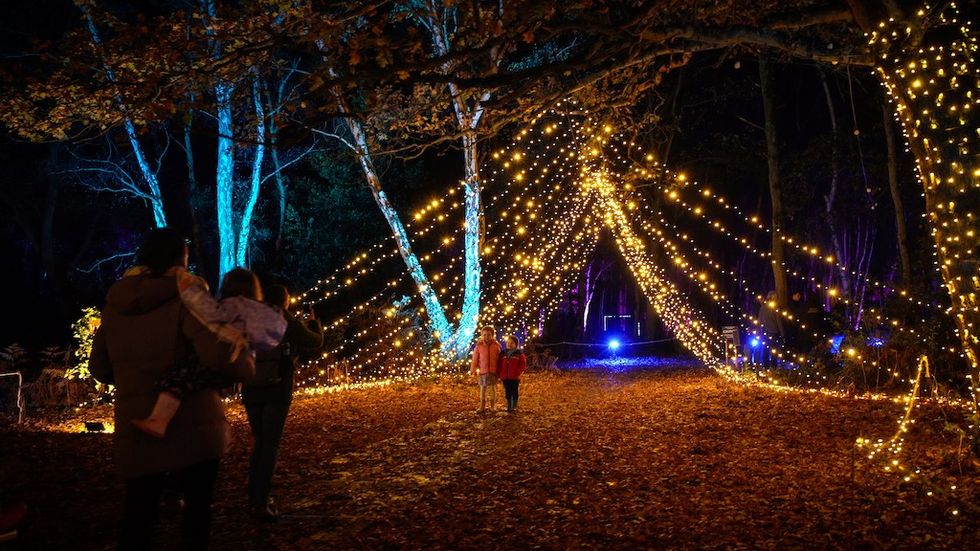 Firefly Entrance Windsor Light trail