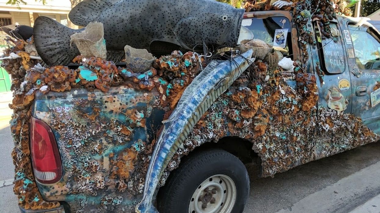 Fish coral themed car key west