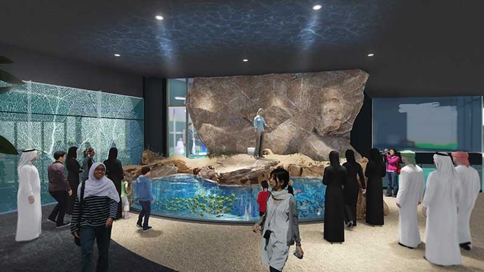 Fish Presentations Oman aquarium TGI