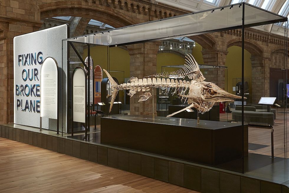 Fish skeleton on display next to "Fixing Our Broken Planet" sign at a museum exhibit, Natural History Museum London