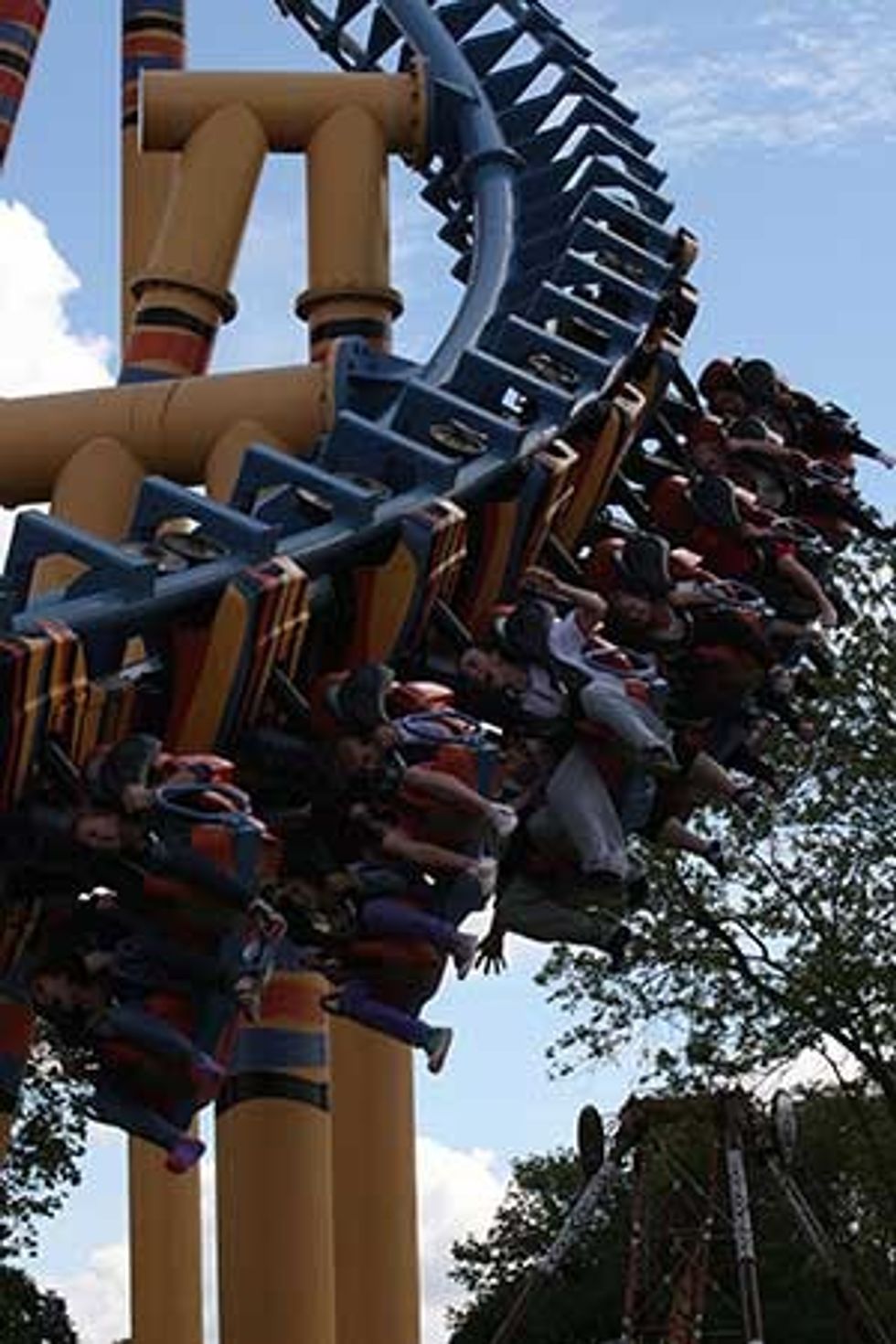 flamingo land david martin