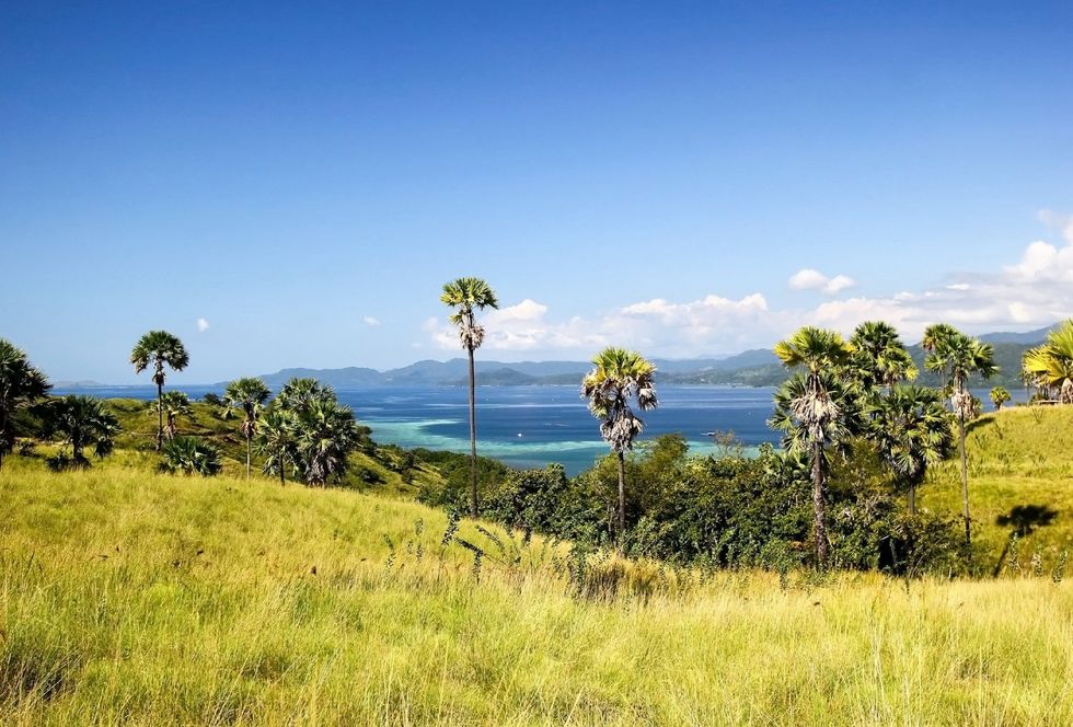 flores island indonesia travel industry skift