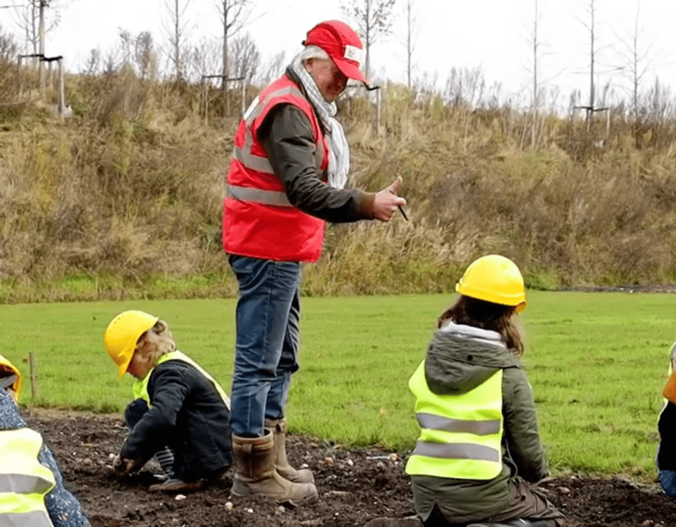 Floriade Niek Roozen - bulbs