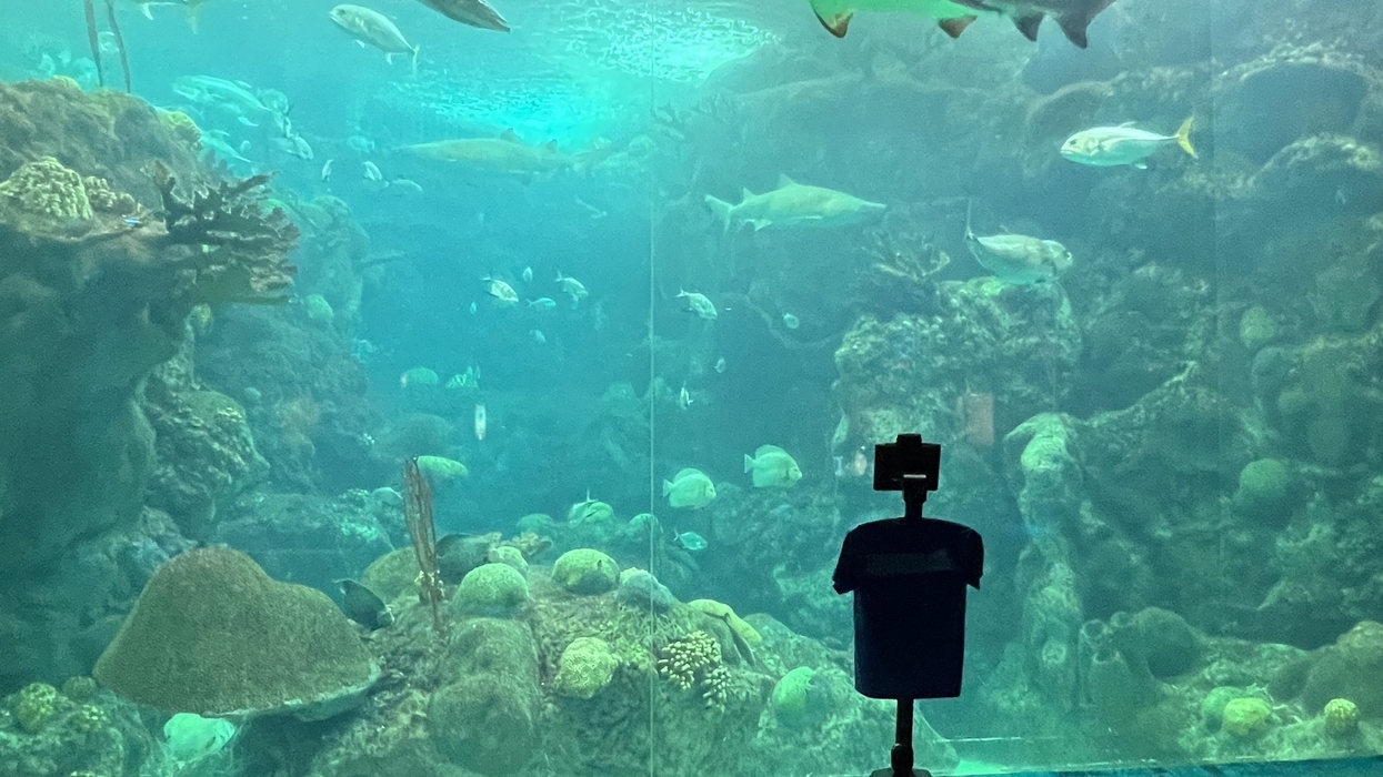 florida aquarium