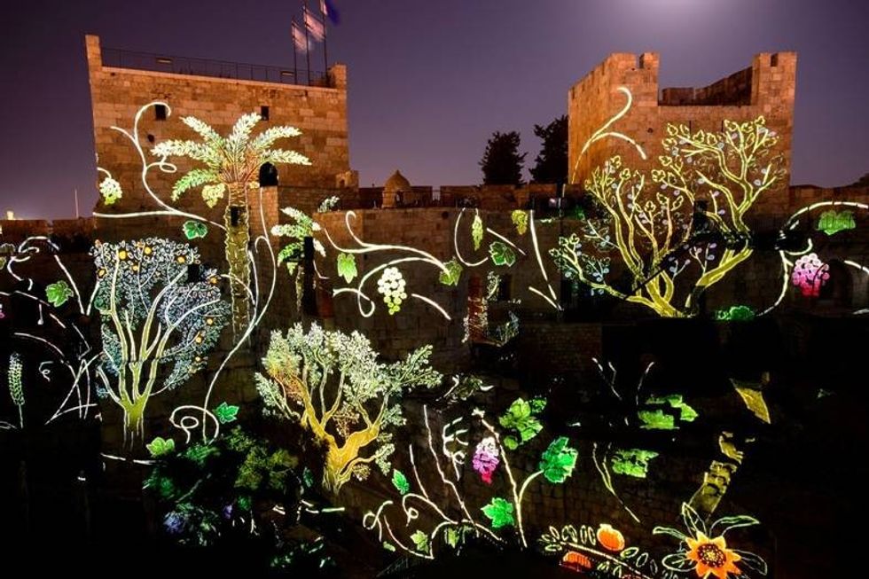 flowers and plants projected on tower of david citadel