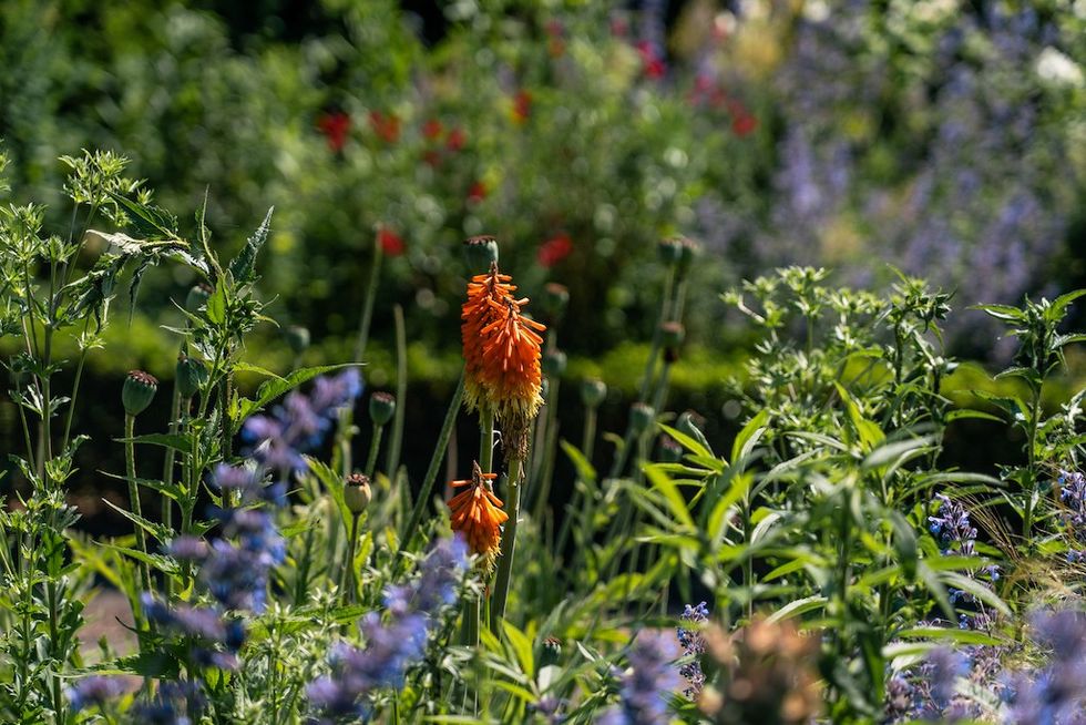 Flowers at Shakespeares birthplace