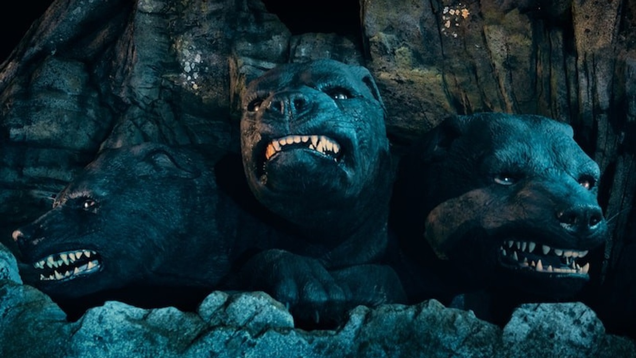 fluffy universal harry potter hagrid ride