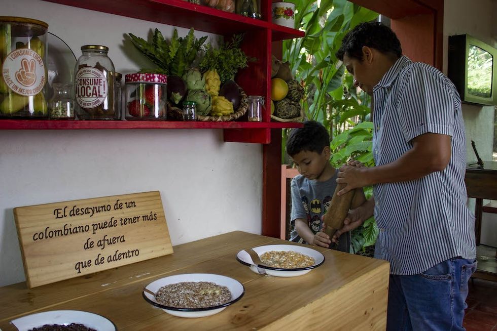 food exhibit at Cali Zoo AFH Design