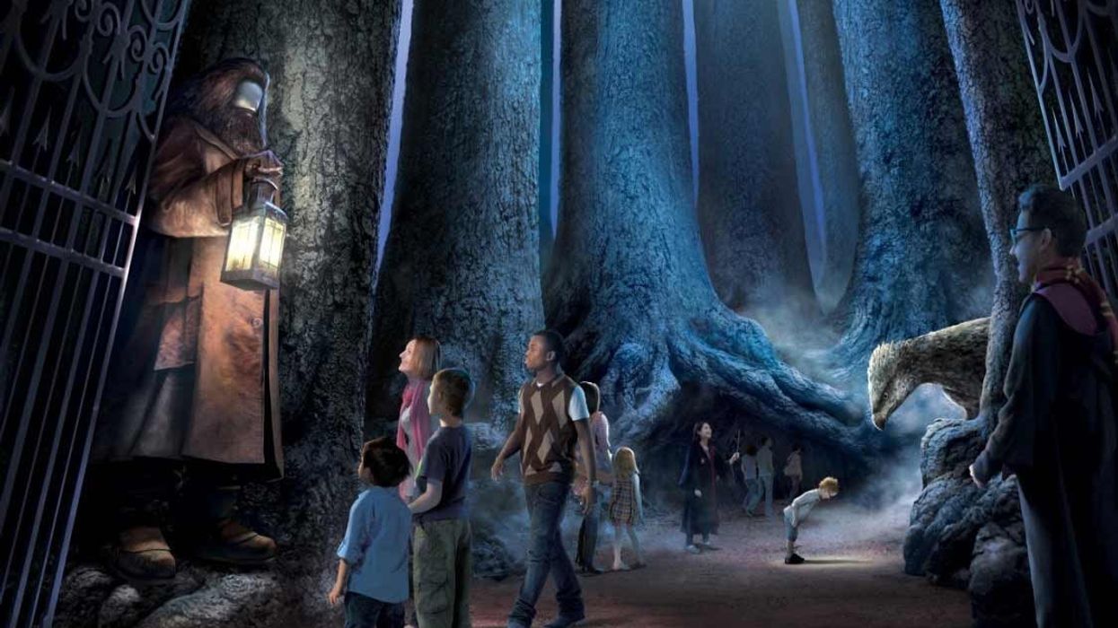 Forbidden Forest Warner Bros Studio Tour Harry Potter