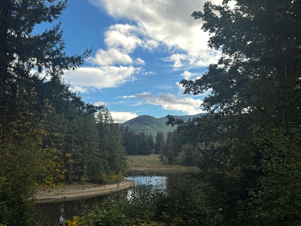 Forest and mountain view with a reflective river under a partly cloudy sky.