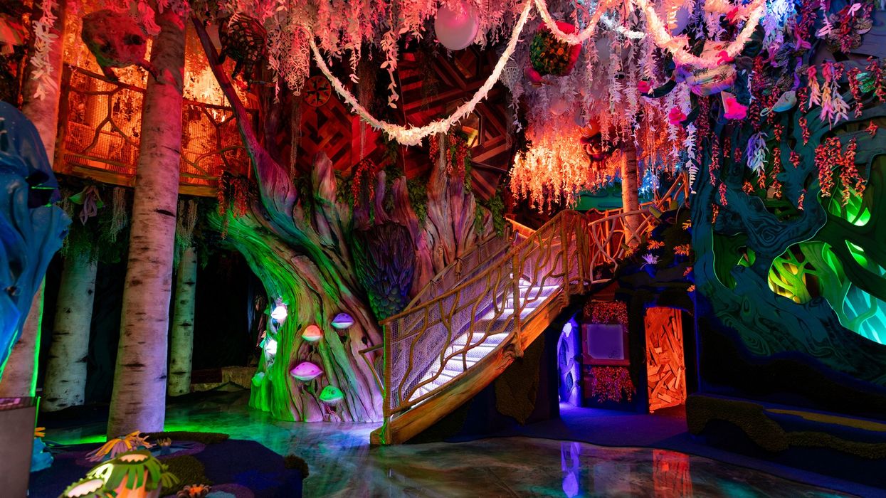 Forest at Meow Wolf's the Real Unreal, Grapevine, Texas