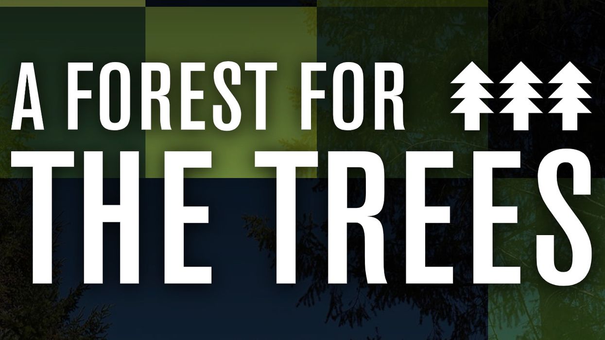 forest for the trees superblue atlantic