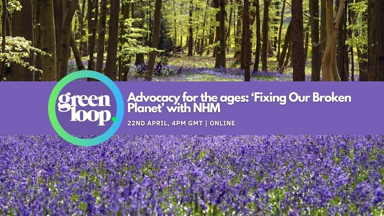 Forest with bluebells, event promo: "Fixing Our Broken Planet," April 22, 4PM BST, online.