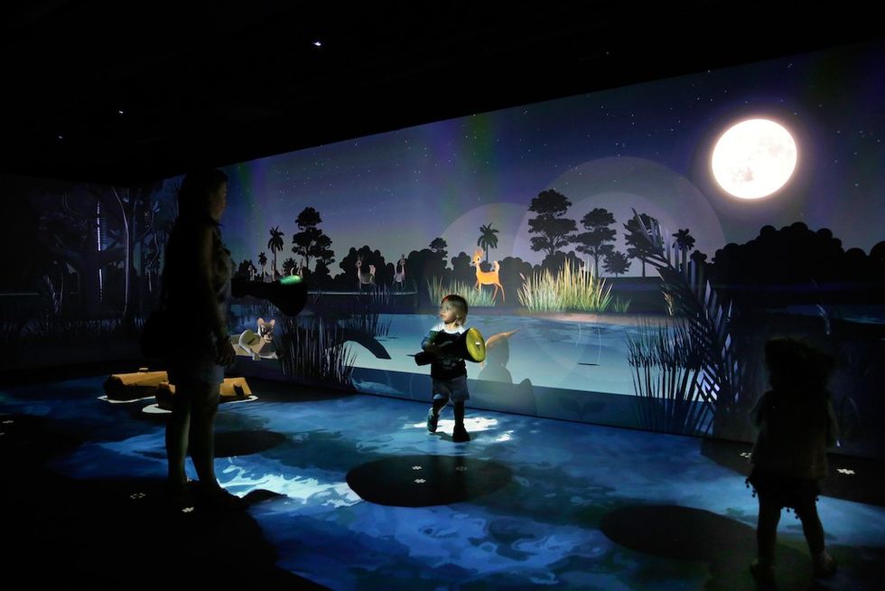 Formula D_ ROG Miami