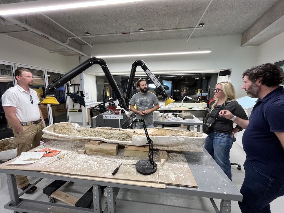 Four people discuss a fossil in a laboratory with extractor arms.