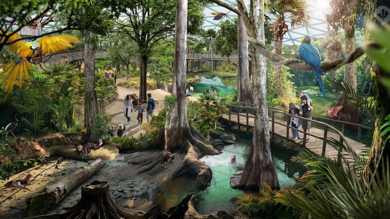 frankfurt zoo dan pearlman