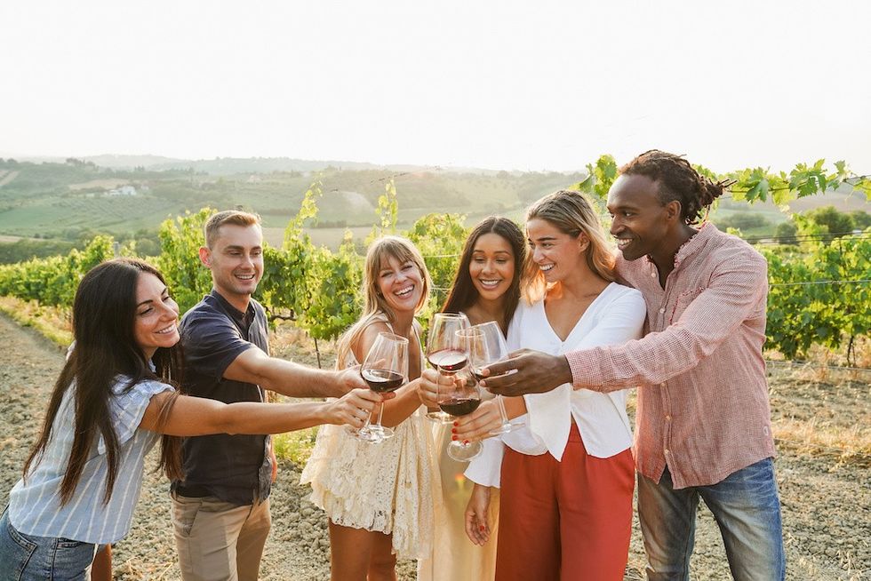 Friends-on-wine-tour google things to do