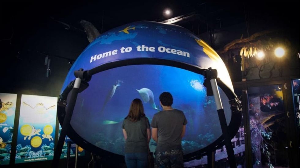 Fulldome.pro Sea Life Centre