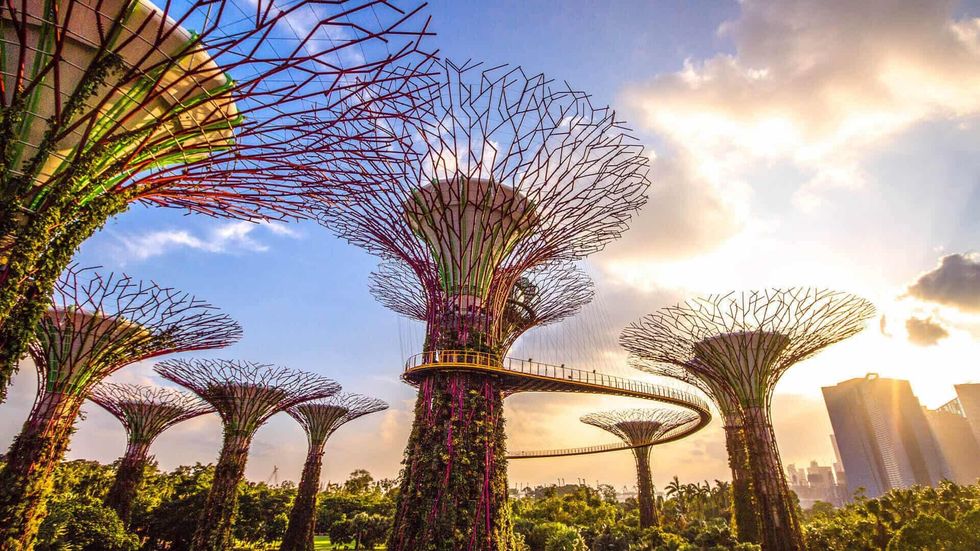 Futuristic treelike structures with walkway at sunrise, Gardens by the Bay, Singapore.