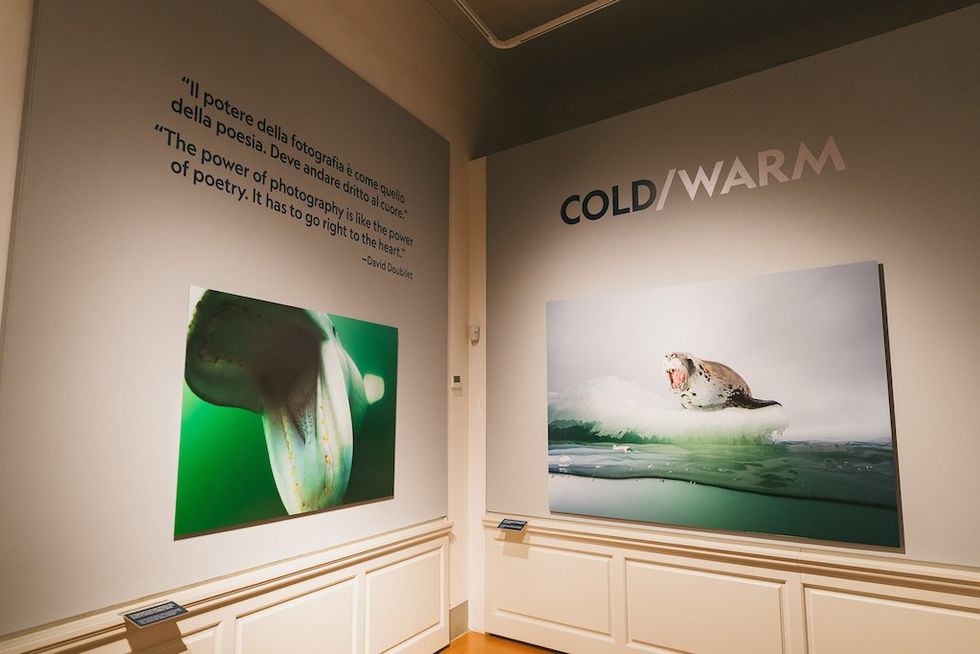 Gallery with marine photos and "COLD/WARM" exhibit title on the wall.