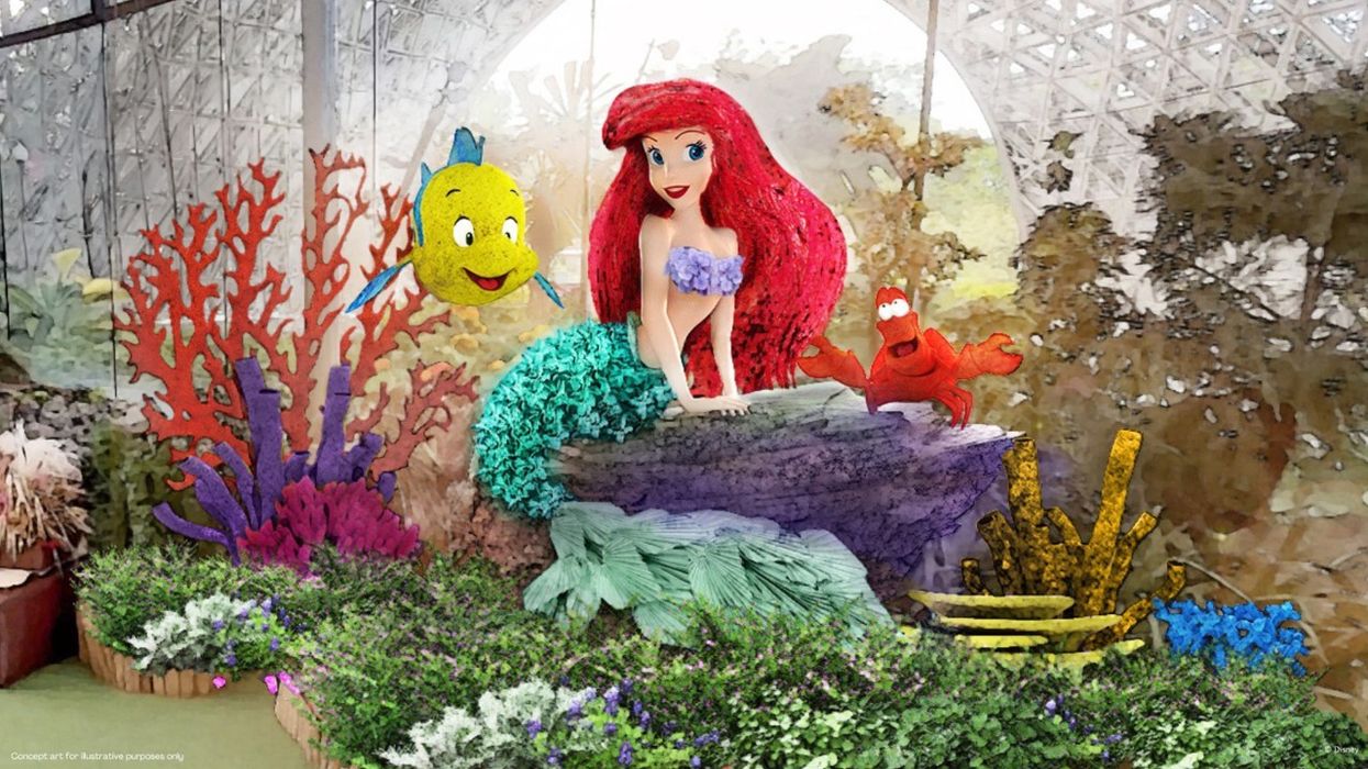 gardens by the bay disney experience