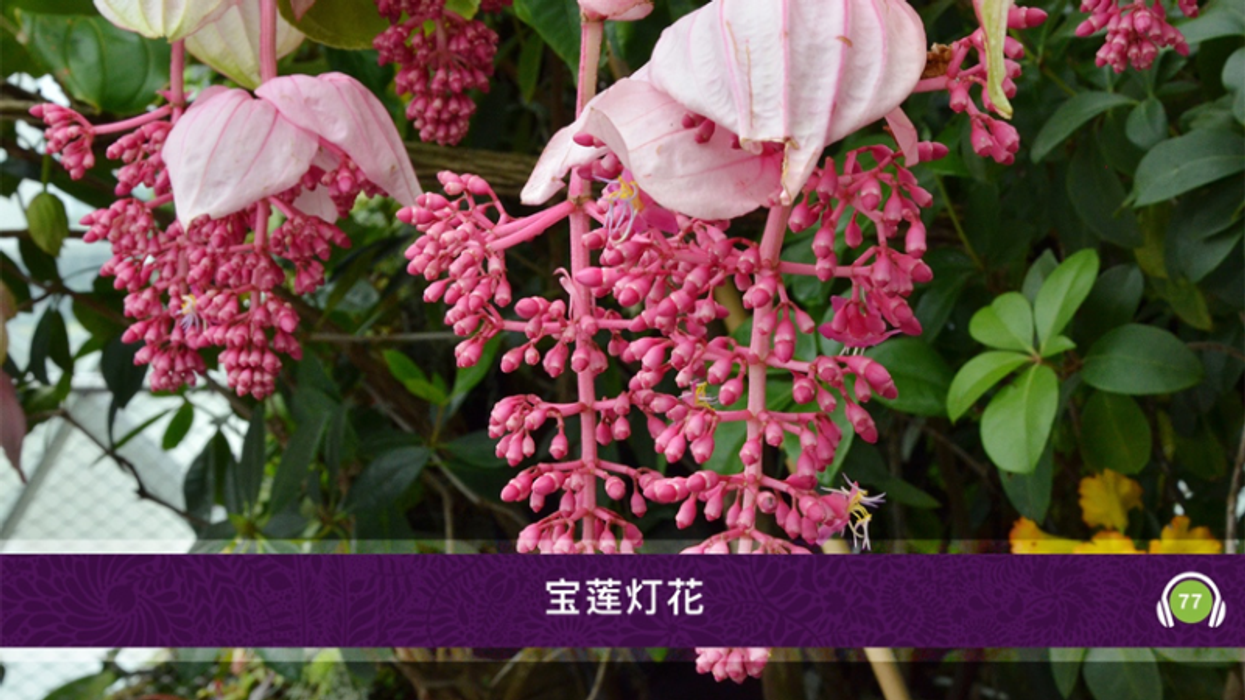 gardens by the bay refreshed by imagineear