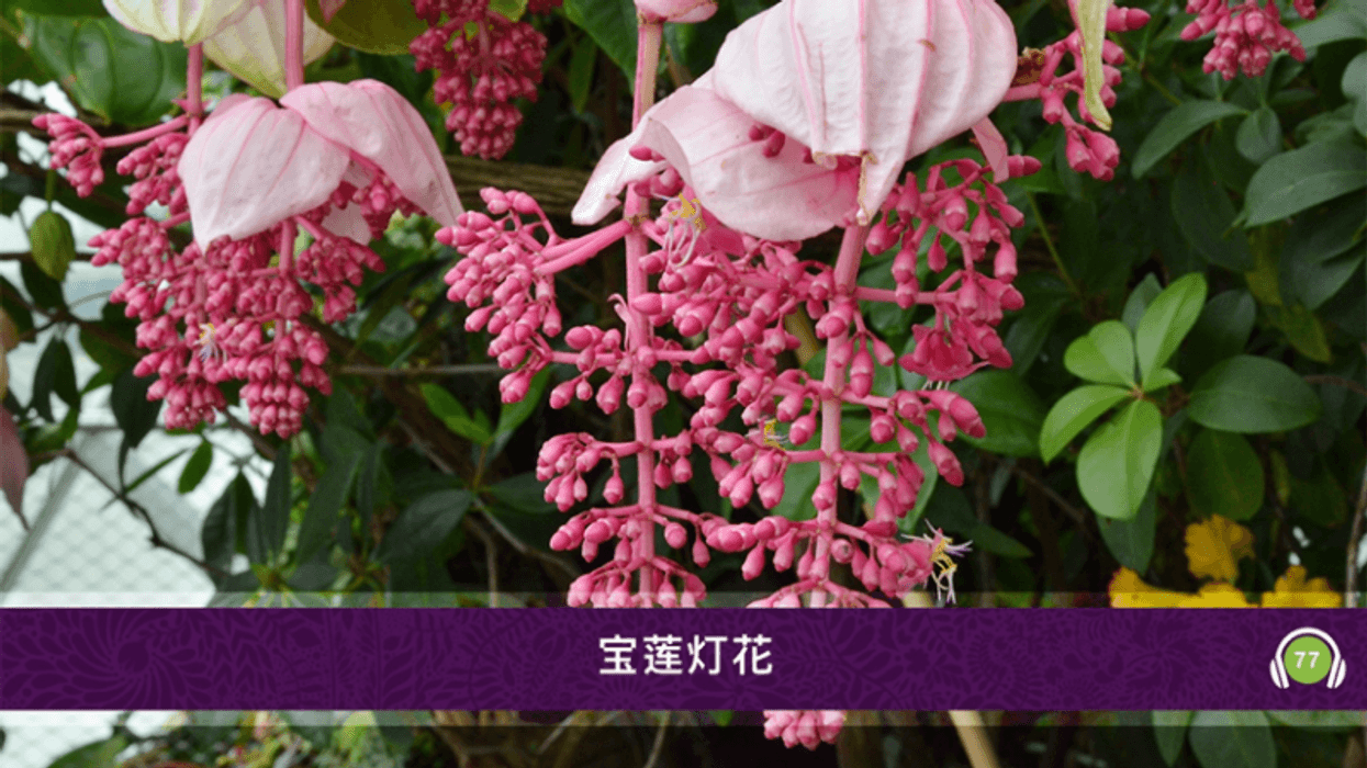 gardens by the bay refreshed by imagineear
