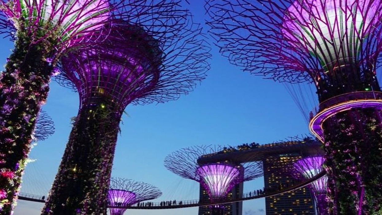 Gardens by the Bay Singapore COVID-19 attractions news