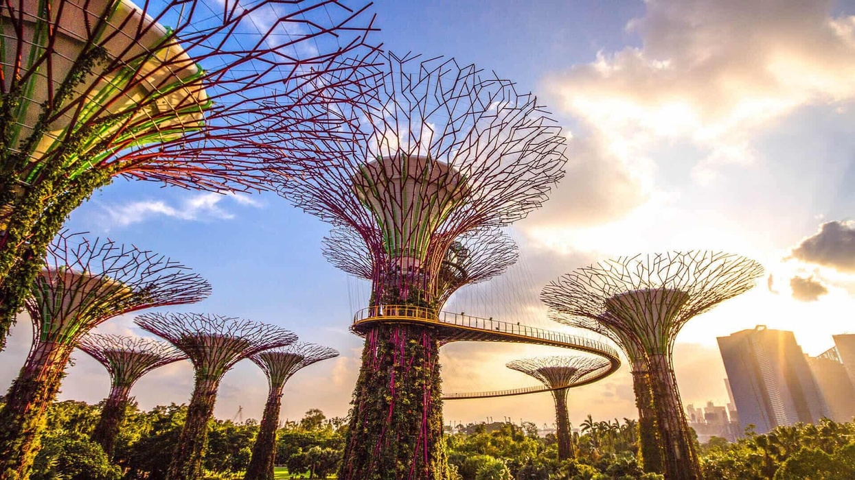 gardens by the bay singapore