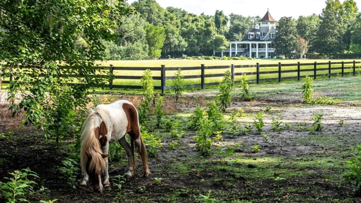 Gateway Ticketing Systems Magnolia Plantation and Gardens