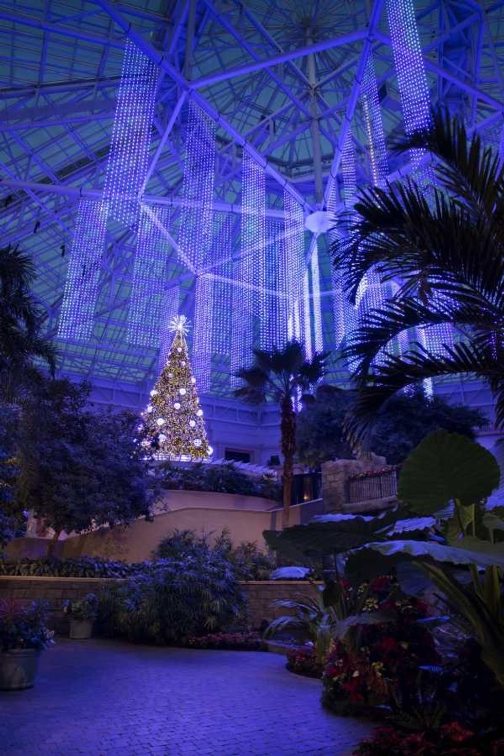 gaylord palms christmas tree