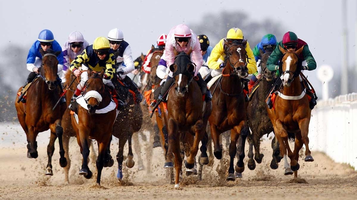 geat leighs racecourse essex jonathan rounce petersham group