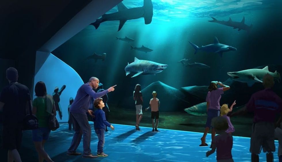 Georgia Aquarium Expansion - Caverns
