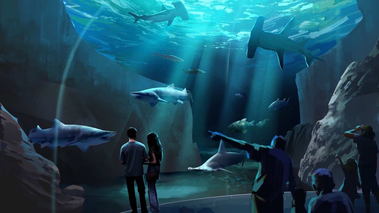 Georgia Aquarium Expansion Half-Dome Room