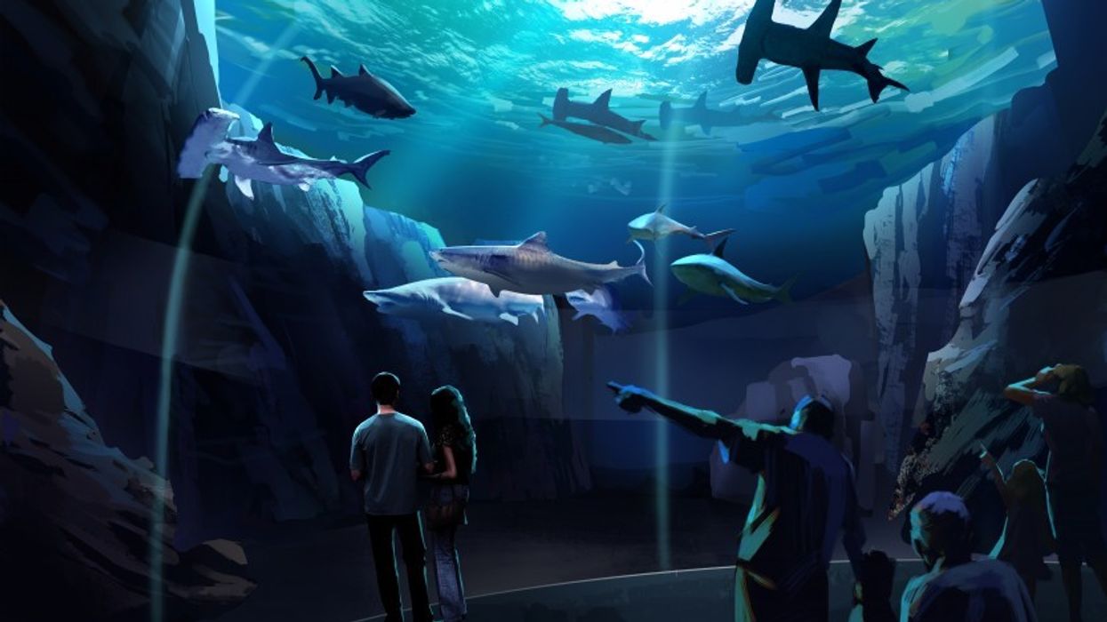 Georgia Aquarium interpectral