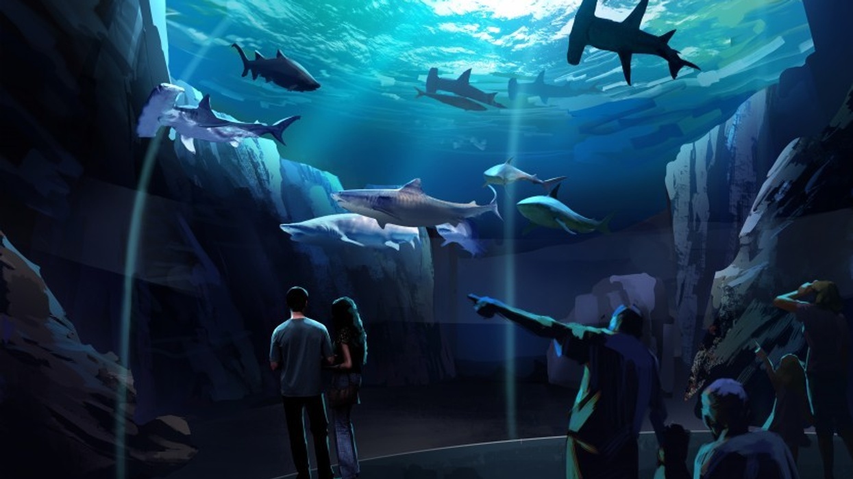 Georgia Aquarium interpectral