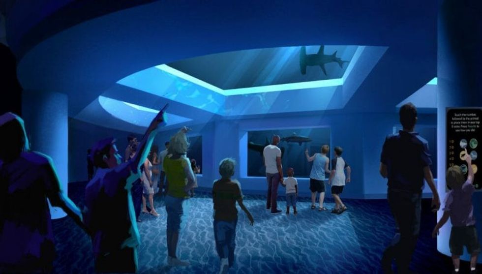 georgia aquarium shark exhibit