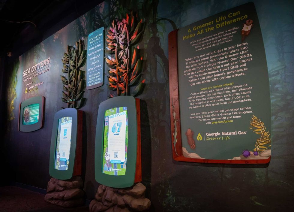 georgia aquarium southern sea otter exhibit