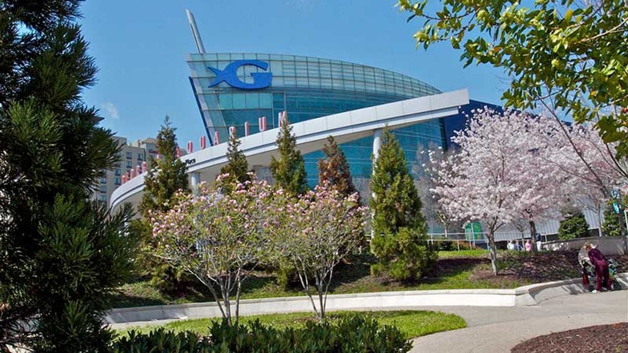 georgia aquarium