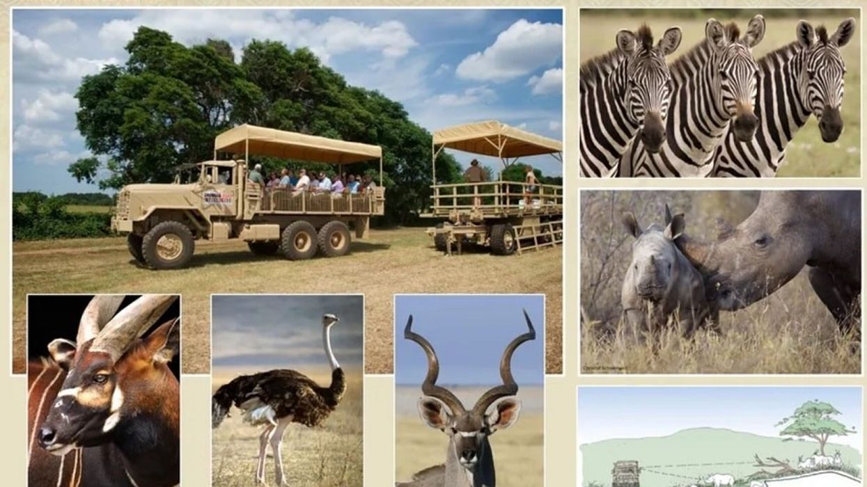 Georgia Safari Conservation Park. Safari. Zoo. Treetop Lodging. Atlanta. Georgia.