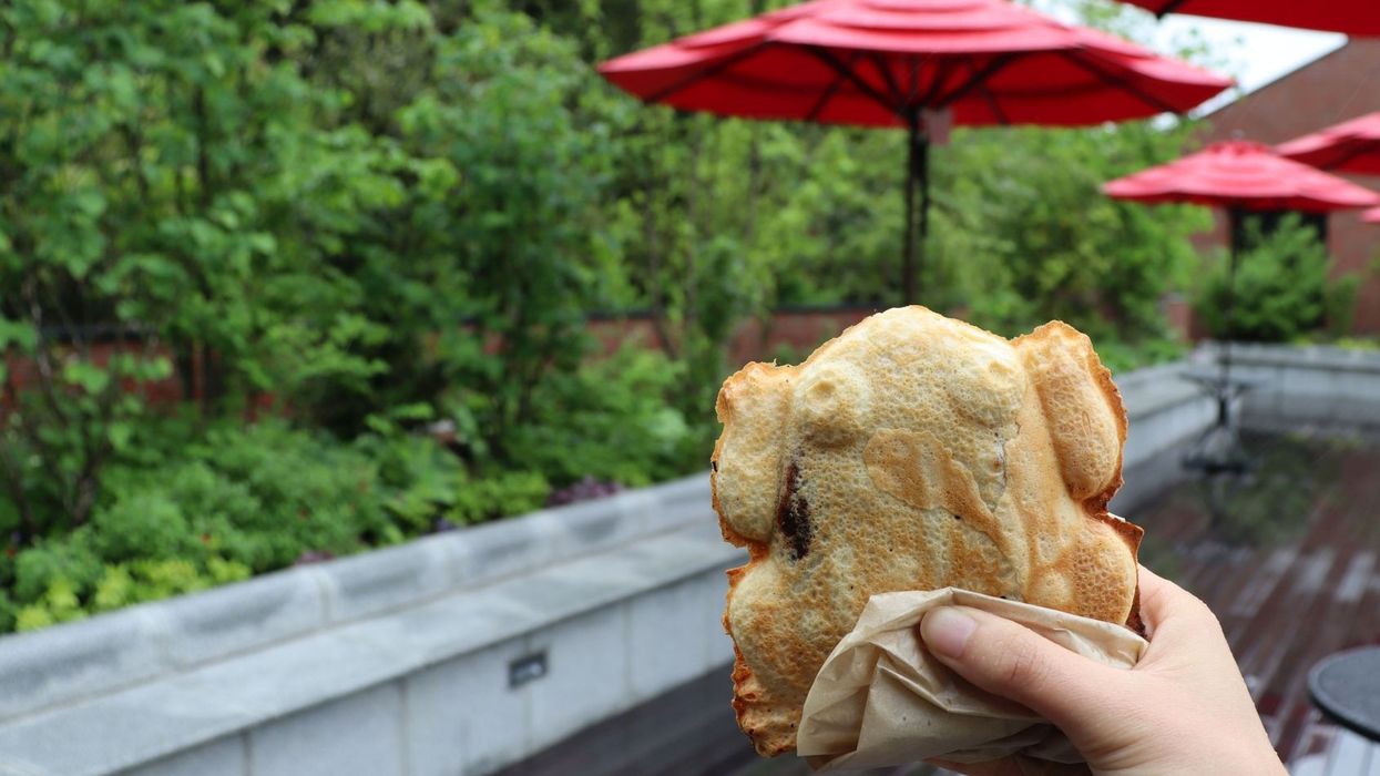 ghibli park grilled frogs