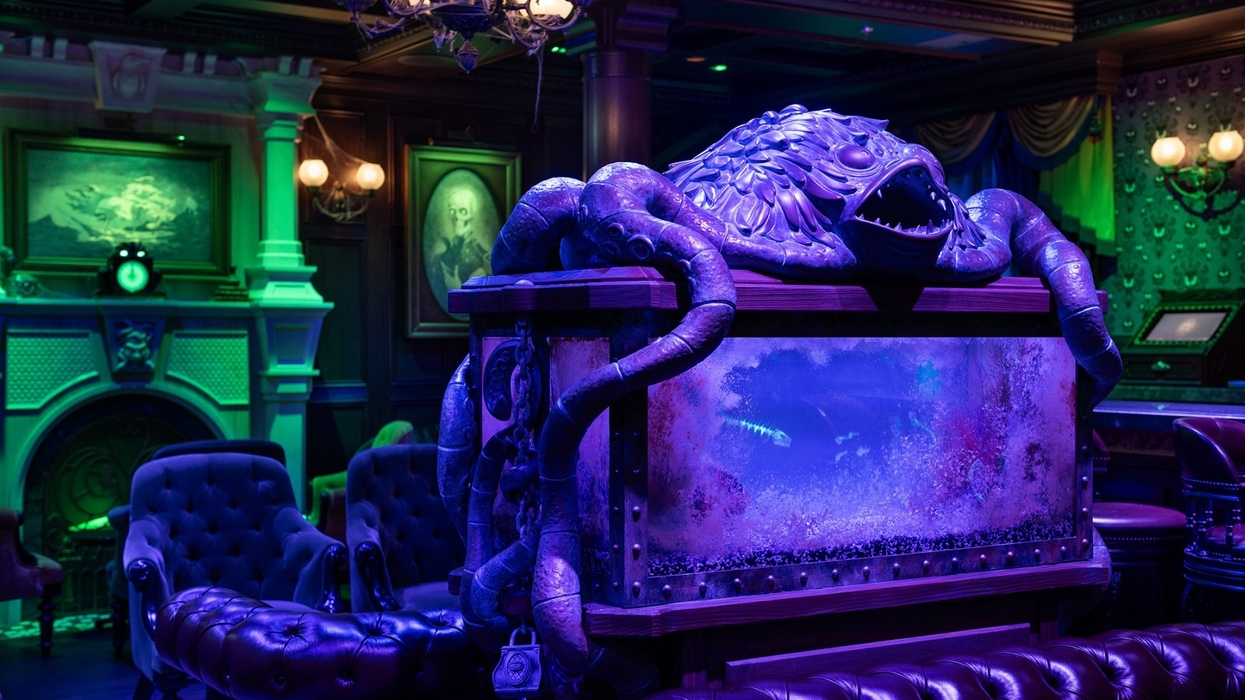 ghost fish aquarium